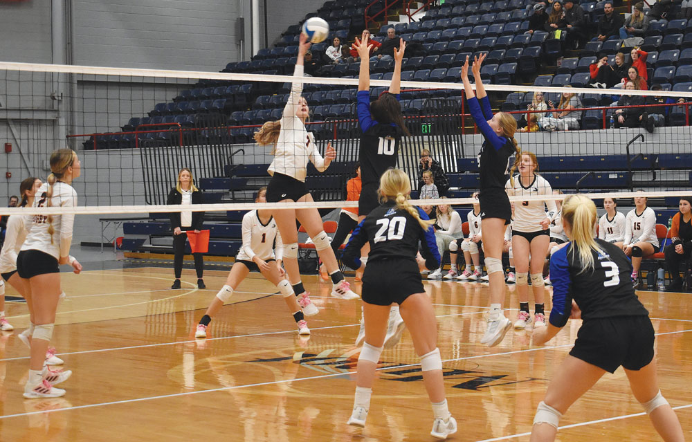 Panthers finish volleyball season as Region 6 runnersup News, Sports